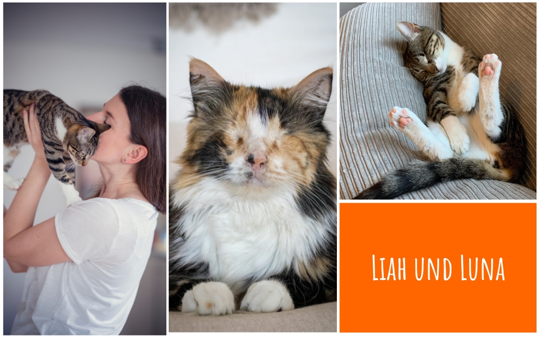 Katzen schwatzen mit Liah und Luna