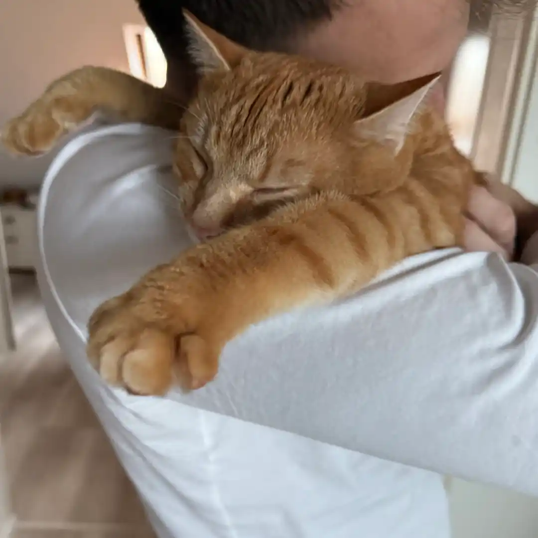 Pepe_09 Katze schwatzen mit Michel und Herrn Rossi